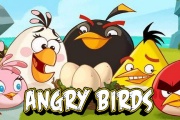 Angry Birds  Crazy